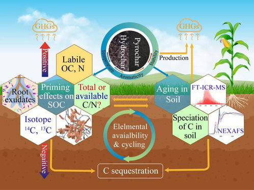 刘振刚研究组在生物炭土壤固碳和遗留磷利用领域发表综述和观点论文