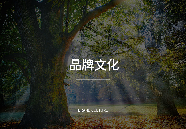 手机端走进球友会2