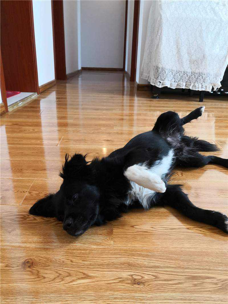 球友会