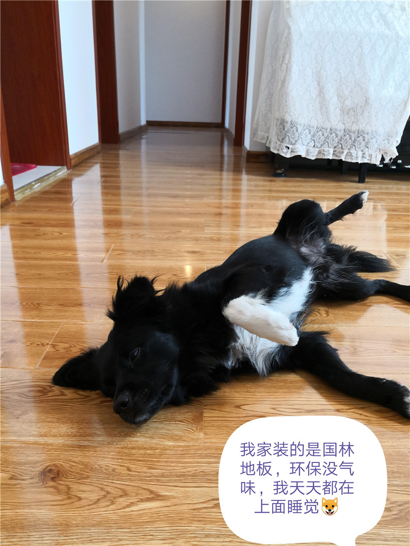 球友会